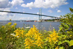 MacKay Bridge